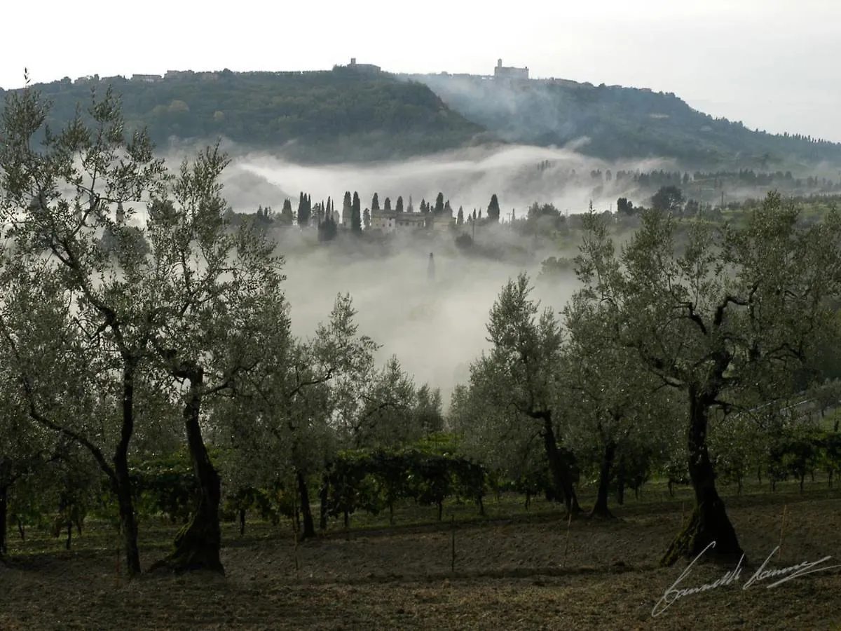 Holiday Home La Voce Del Silenzio By Interhome Volterra 0*,  Italy